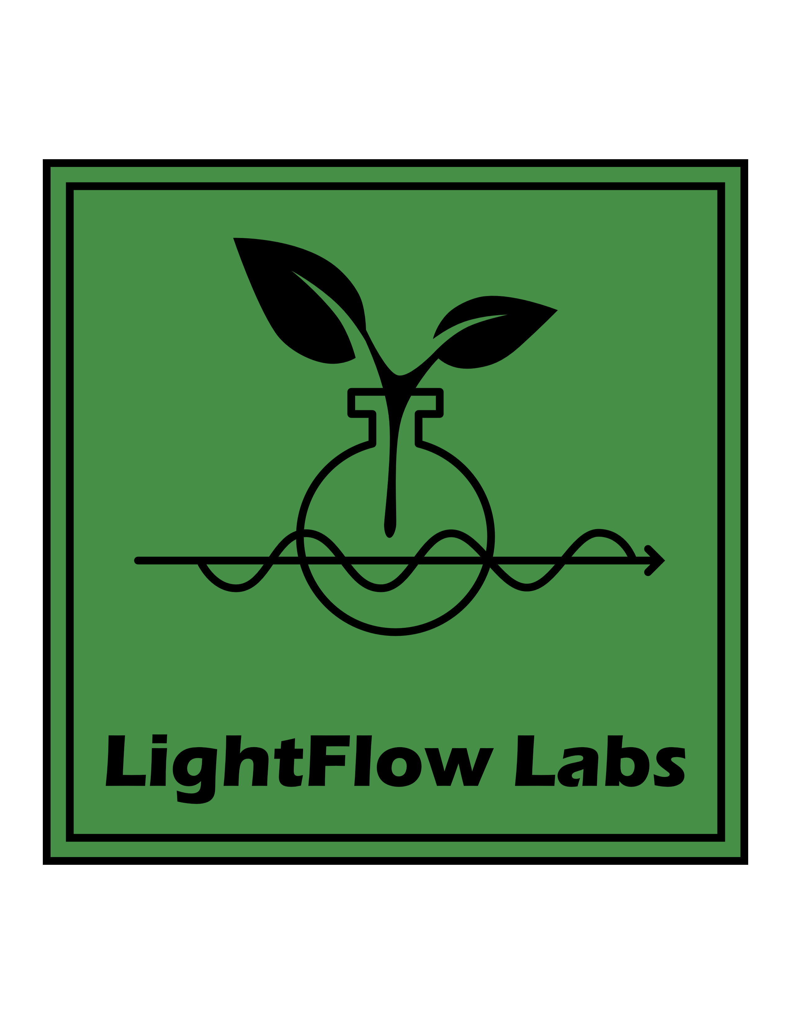 LightFlow Labs